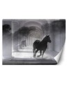 Oryginalne fototapety - Tunel biegnący koń efekt 3D | FEEBY