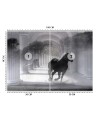 Oryginalne fototapety - Tunel biegnący koń efekt 3D | FEEBY