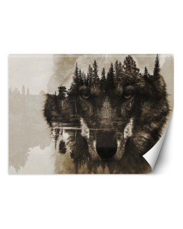 The most fashionable wall murals - Wolf forest in fog lake | FEEBY