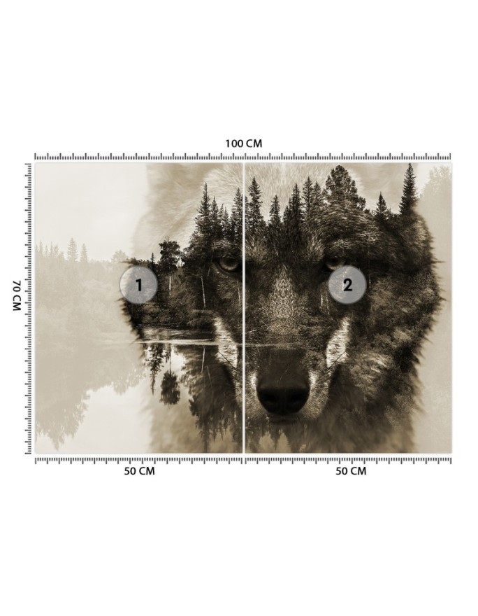 Najmodniejsze fototapety - Wilk las we mgle jezioro | FEEBY