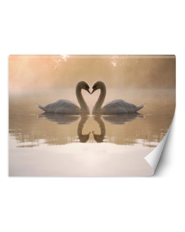 Beautiful wall murals - Swans lake | FEEBY