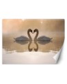 Beautiful wall murals - Swans lake | FEEBY