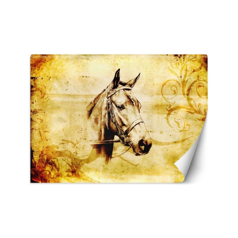 Modern wall murals - Vintage horse | FEEBY