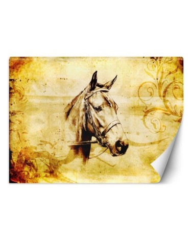 Modern wall murals - Vintage horse | FEEBY