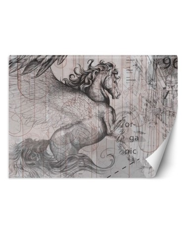 Unique wall murals - Pegasus horse abstract | FEEBY