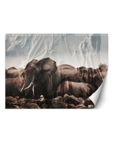 Modern wall mural - Elephants in a herd | FEEBY