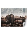 Nowoczesne fototapety - Słonie w stadzie | FEEBY