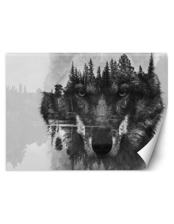 Najmodniejsze fototapety na ścianę - Wilk las we mgle | FEEBY