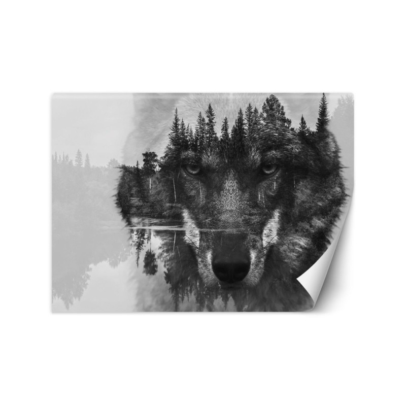 Najmodniejsze fototapety na ścianę - Wilk las we mgle | FEEBY