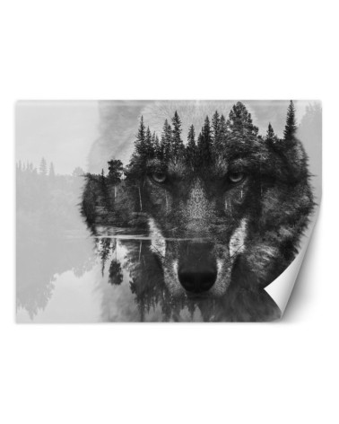 Najmodniejsze fototapety na ścianę - Wilk las we mgle | FEEBY