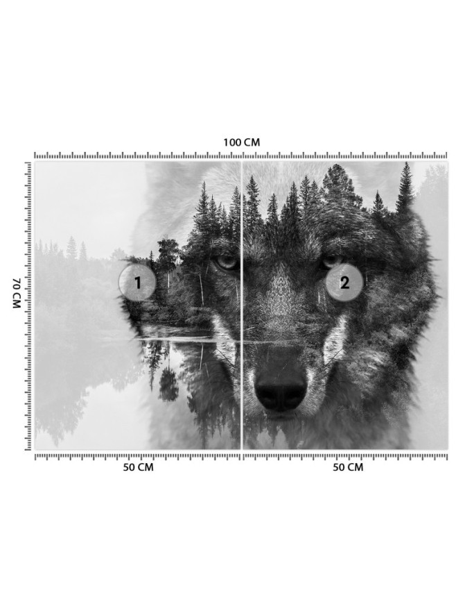 Najmodniejsze fototapety na ścianę - Wilk las we mgle | FEEBY