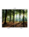 Fototapety z widokiem do salonu - Poranek las drzewa natura | FEEBY