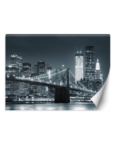 Wall mural - New York Brooklyn Bridge in black | FEEBY