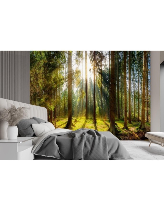 Piękne fototapety - Las w promieniach słońca natura krajobraz | FEEBY