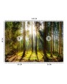 Piękne fototapety - Las w promieniach słońca natura krajobraz | FEEBY