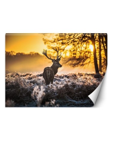 Decorative Wallpaper - Deer in the mist | FEEBY