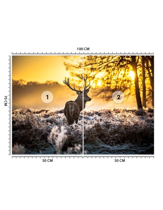 Fototapeta dekoracyjna na ścianę - Jeleń we mgle | FEEBY