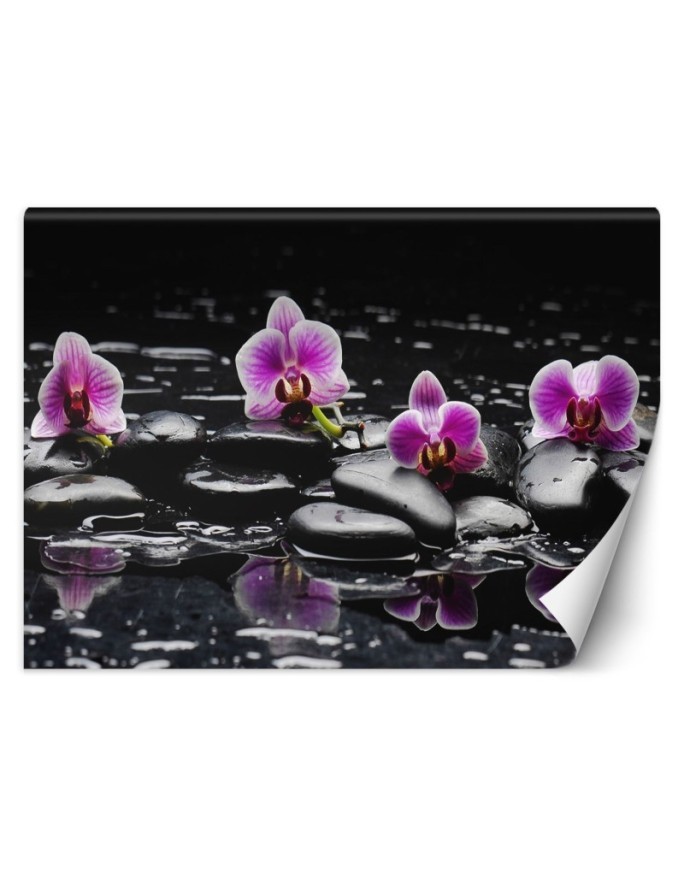 Oryginalne fototapety - Kamienie zen orchidea | FEEBY