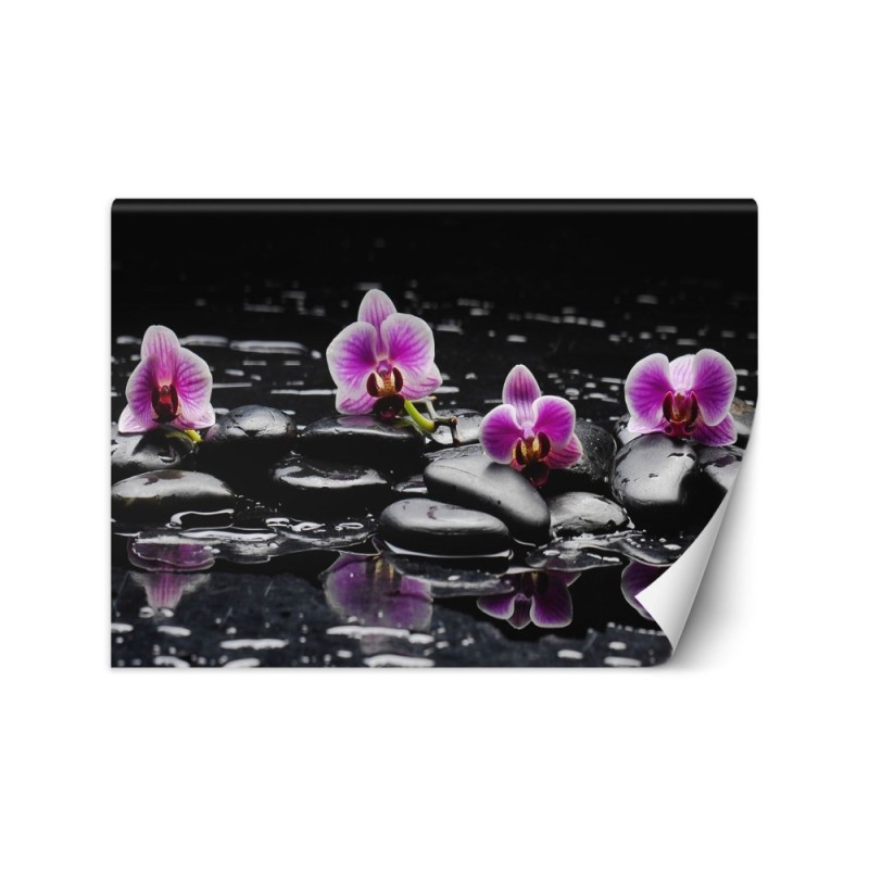 Oryginalne fototapety - Kamienie zen orchidea | FEEBY