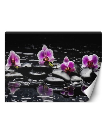 Original Wallpapers - Zen orchid stones | FEEBY
