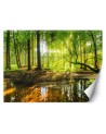 Piękne fototapety - Las potok strumień promienie słońca natura | FEEBY