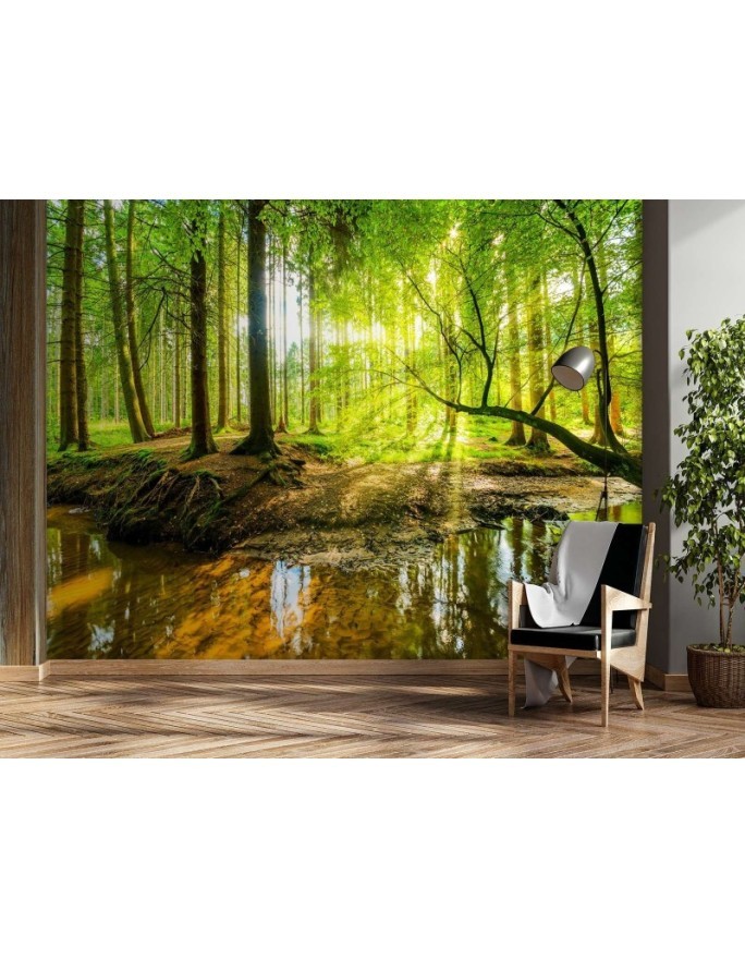 Piękne fototapety - Las potok strumień promienie słońca natura | FEEBY