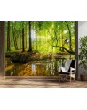 Piękne fototapety - Las potok strumień promienie słońca natura | FEEBY