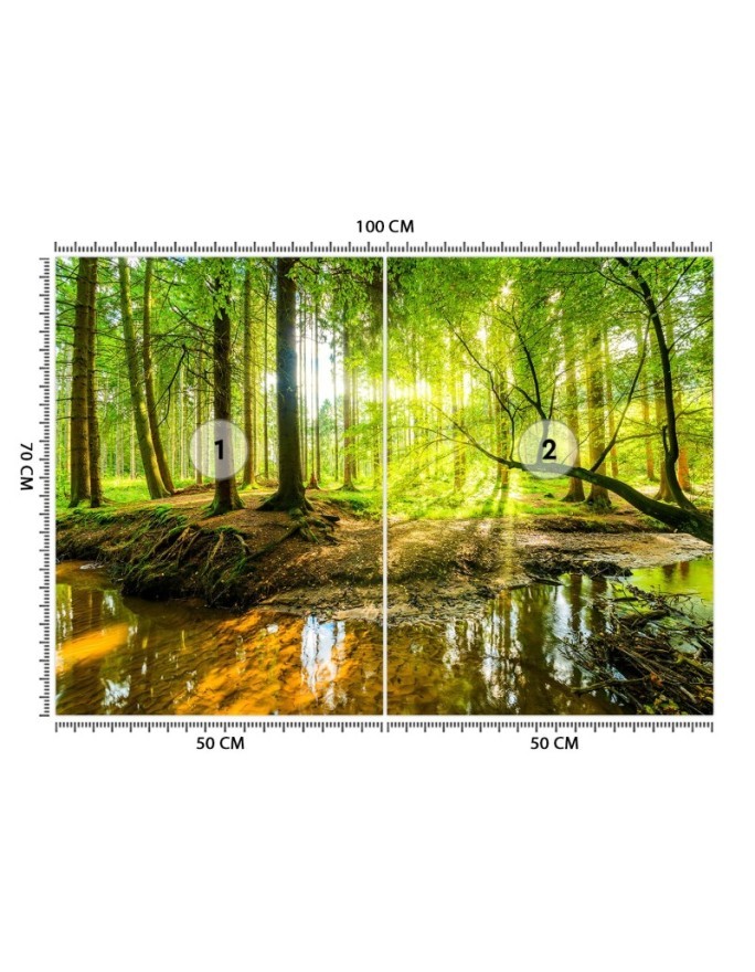 Piękne fototapety - Las potok strumień promienie słońca natura | FEEBY