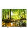 Piękne fototapety - Las potok strumień promienie słońca natura | FEEBY