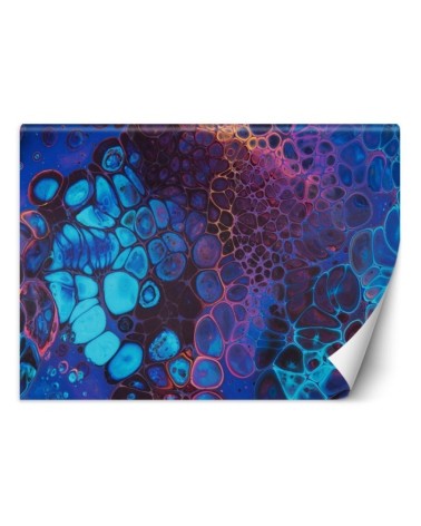 Exclusive Wallpaper - Dynamic colours by Mayuko Miura | FEEBY