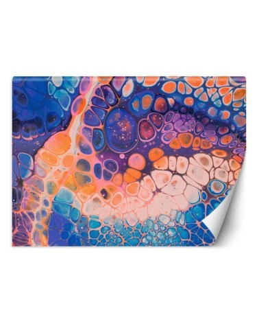Unique Wallpapers - Colourful abstraction Mayuko Miura | FEEBY