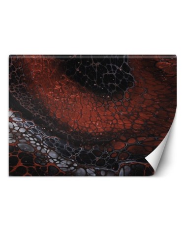 Designerskie fototapety - Kolorowa abstrakcja Mayuko Miura | FEEBY
