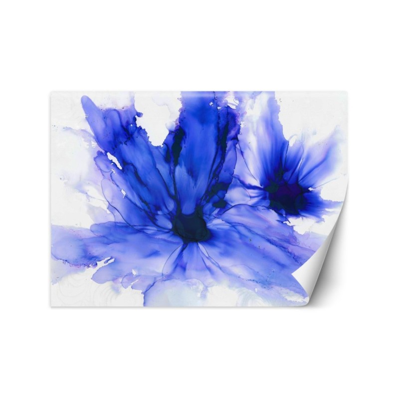 Stylowe fototapety - Niebieskie chabry Egle Minkuviene | FEEBY