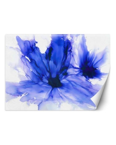Stylowe fototapety - Niebieskie chabry Egle Minkuviene | FEEBY
