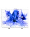 Stylowe fototapety - Niebieskie chabry Egle Minkuviene | FEEBY