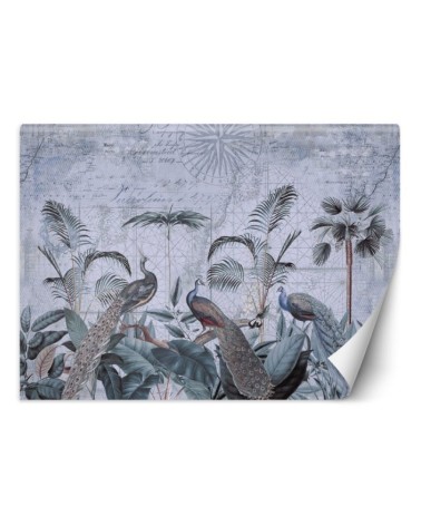 Unique wall murals - Peacocks in the tropics Andrea Haase | FEEBY