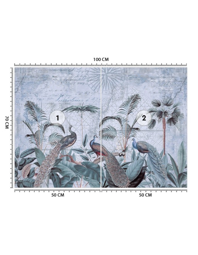 Unikalne fototapety - Pawie w tropikach Andrea Haase | FEEBY