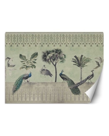 Original Wallpapers - Peacocks in the jungle green Andrea Haase | FEEBY