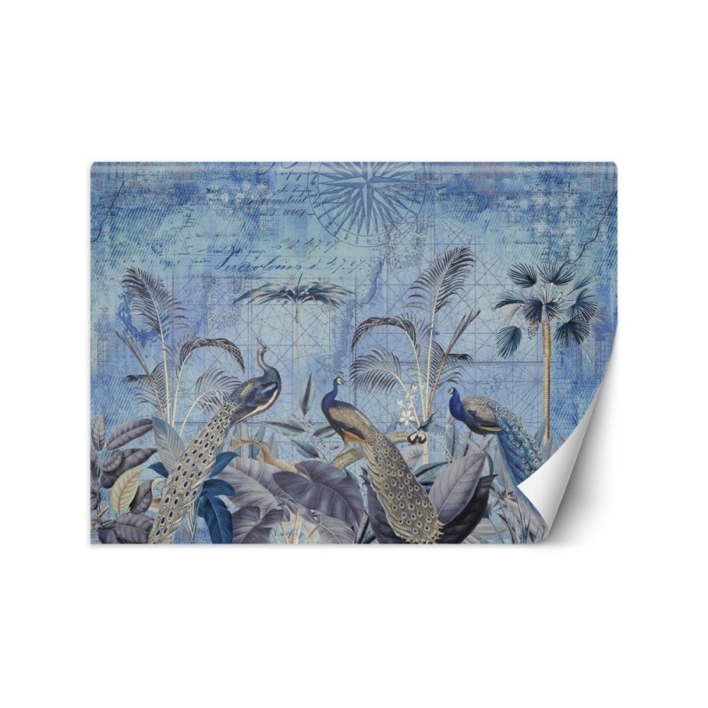 Stylowe fototapety - Pawie w tropikach niebieskie Andrea Haase | FEEBY