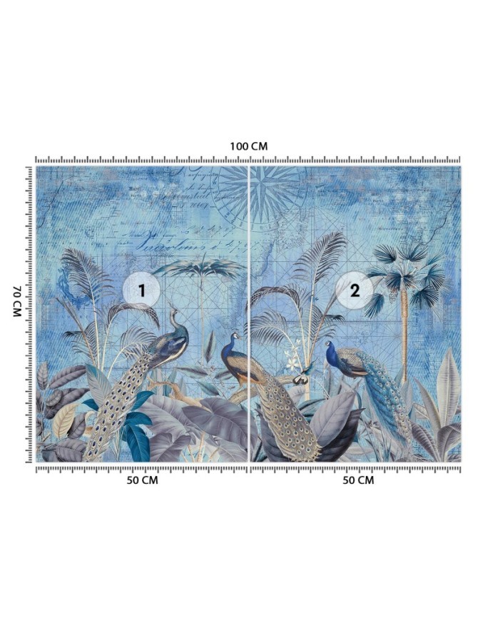 Stylowe fototapety - Pawie w tropikach niebieskie Andrea Haase | FEEBY