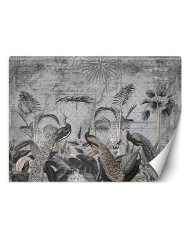 Inspirational Wallpapers - Peacocks in the tropics dark grey Andrea Haase | FEEBY