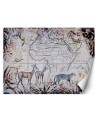 Fototapeta - Mapa i dzikie zwierzęta vintage Andrea Haase | FEEBY