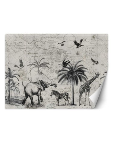 Wallpaper - Map and savannah vintage Andrea Haase | FEEBY