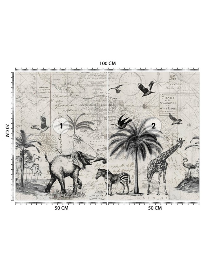 Fototapeta na ścianę - Mapa i sawanna vintage Andrea Haase | FEEBY