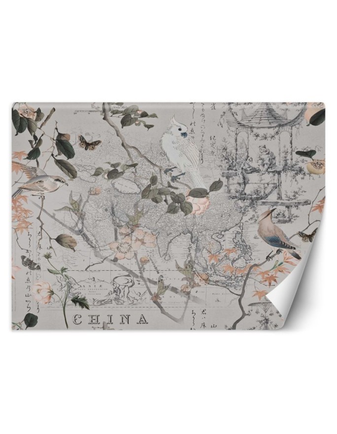 Designerskie fototapety - Stara mapa i ptaki Andrea Haase | FEEBY