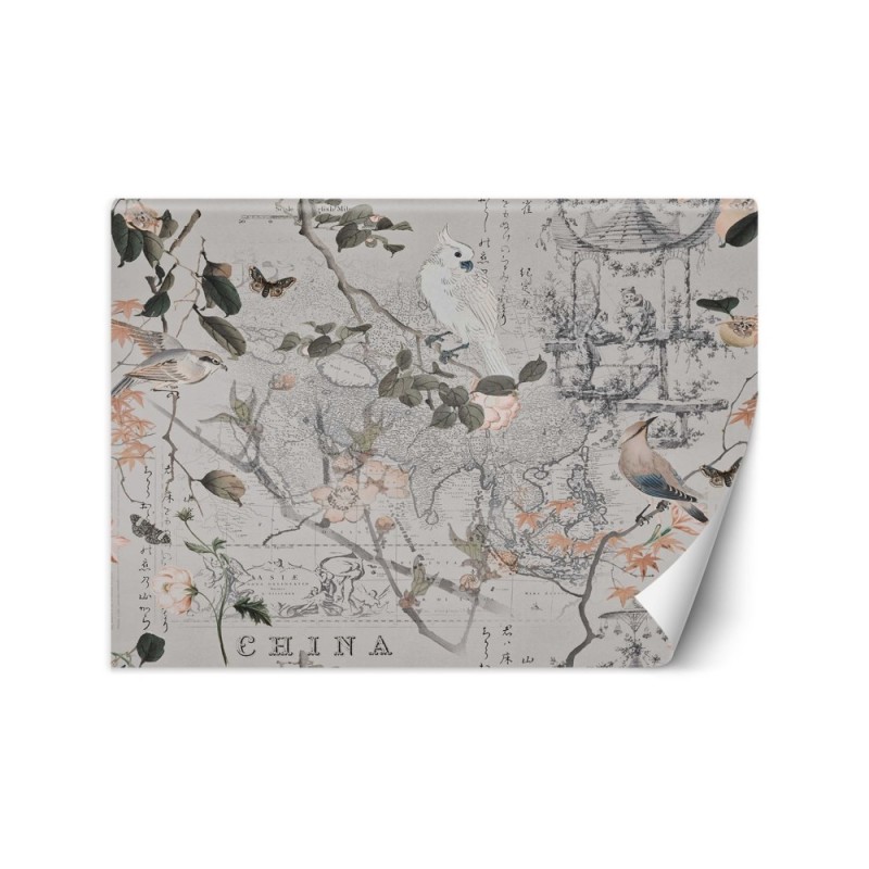 Designerskie fototapety - Stara mapa i ptaki Andrea Haase | FEEBY