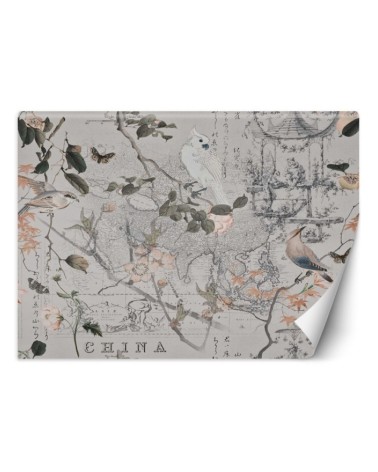 Designerskie fototapety - Stara mapa i ptaki Andrea Haase | FEEBY