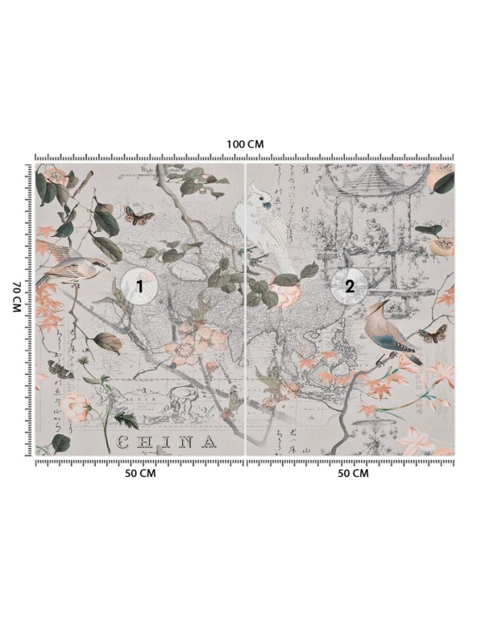 Designerskie fototapety - Stara mapa i ptaki Andrea Haase | FEEBY