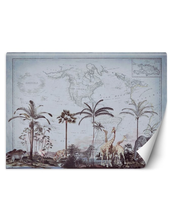 Stylowe fototapety - Stara mapa i sawanna Andrea Haase | FEEBY