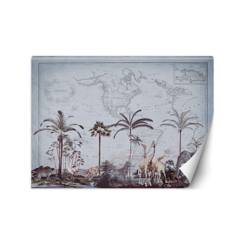 Stylowe fototapety - Stara mapa i sawanna Andrea Haase | FEEBY